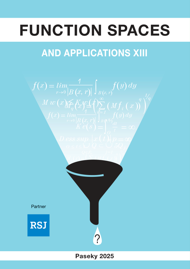 Function Spaces and Applications XIII