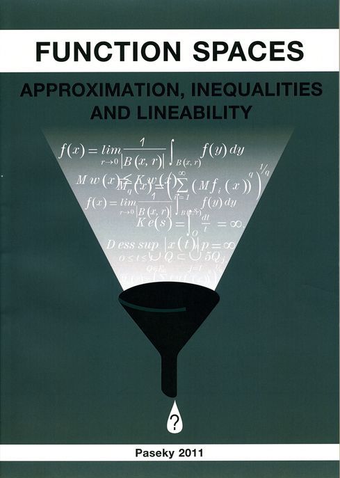 Function Spaces, Approximation, Inequalities and Lineability